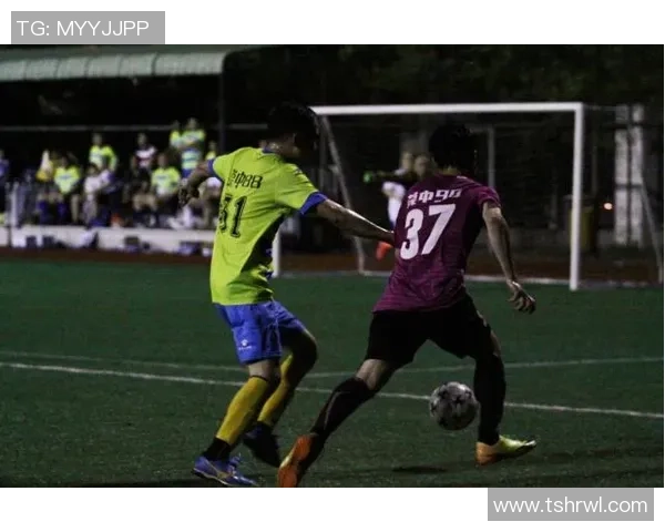 足球比赛中第四官员记录表的重要性与使用方法探讨